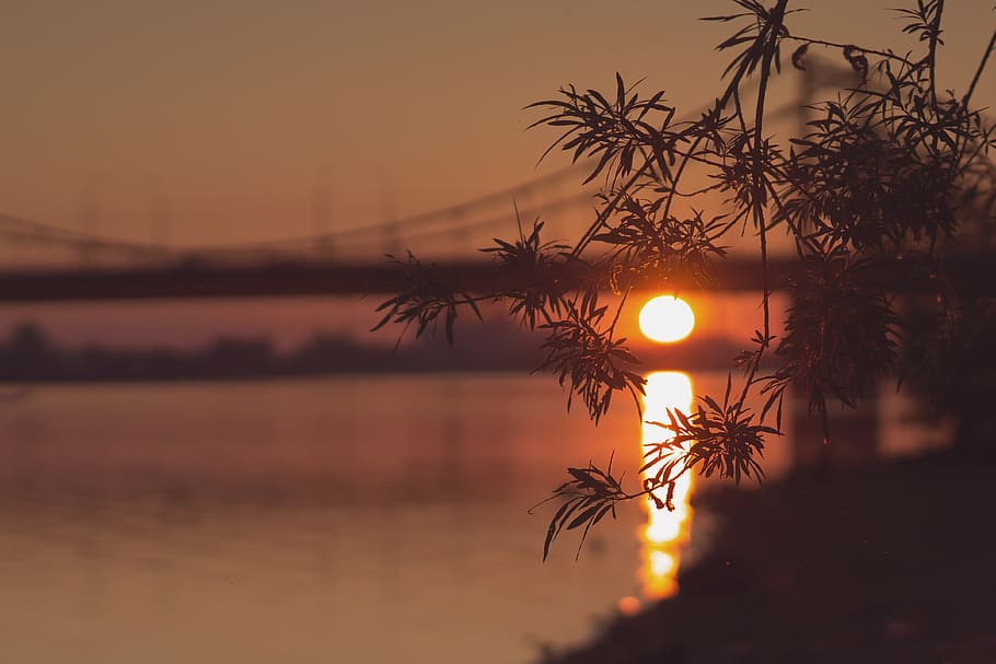 sun, sunset, sunshine, water, river, trees, leaves, bridge HD wallpaper