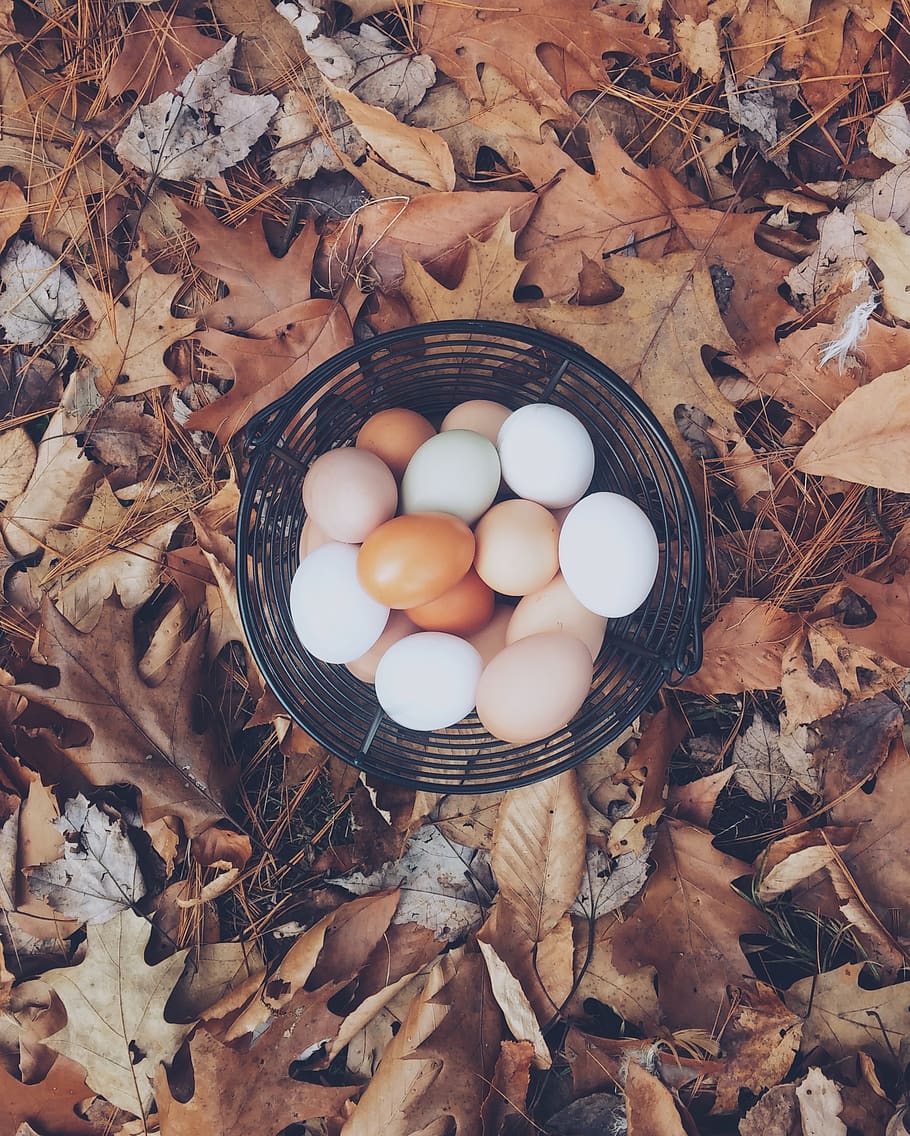 white and brown eggs, high angle view, food, food and drink, leaf HD wallpaper