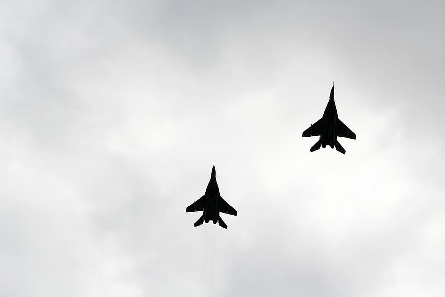 fighter, aircraft, army, plane, flying, animal wildlife, sky HD wallpaper
