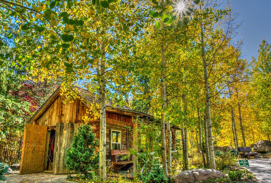 Hd Wallpaper Vail Colorado Foliage Log Cabin Landscape Usa