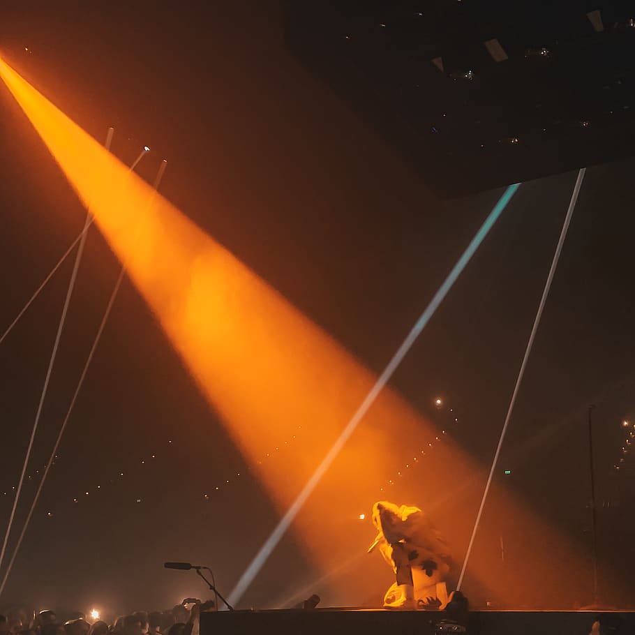 Person Singing on Stage, artist, audience, celebration, concert HD wallpaper