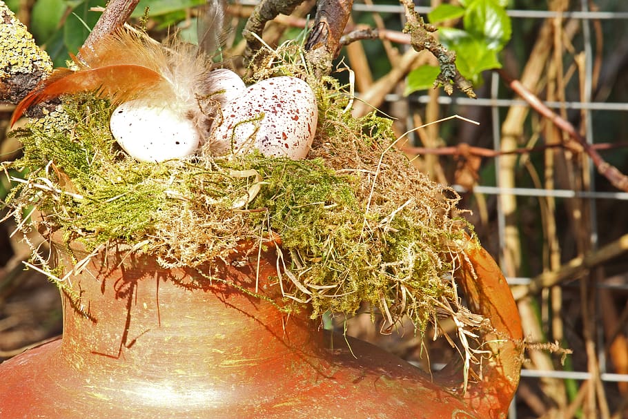 easter eggs, easter nest, easter decoration, easter theme, spring HD wallpaper