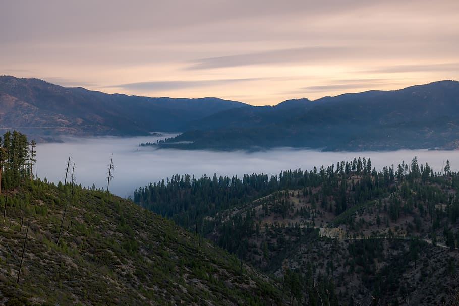Fog Running Through the Forest, dawn, landscape, mist, mountains HD wallpaper