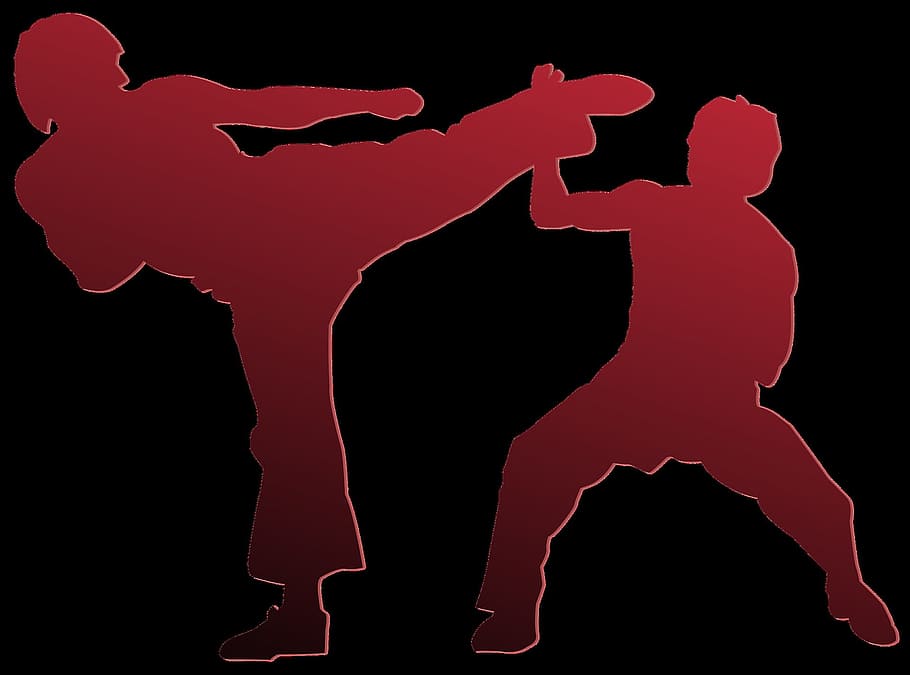 art, karate, japanese, fight, fighting, activity, graphic, silhouette, HD wallpaper