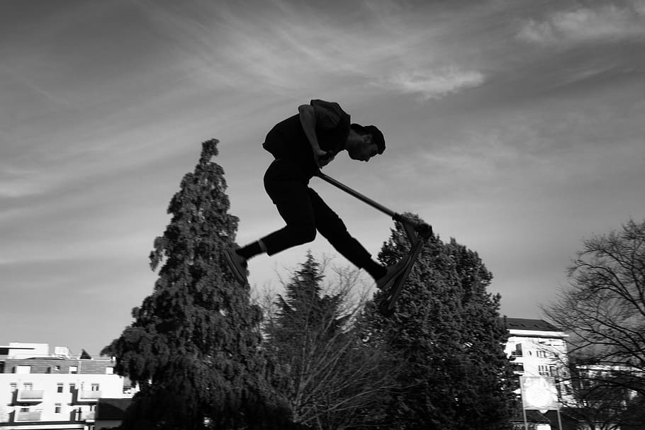 person, human, plant, tree, fir, france, lyon, abies, sports HD wallpaper