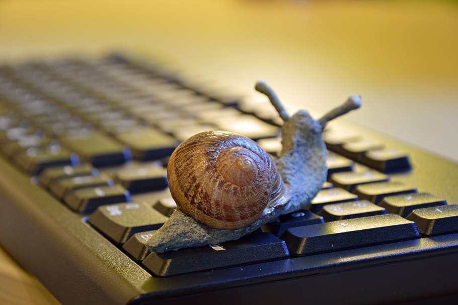 snail, shell, figure, keyboard, slowly, entschleunigung, office HD wallpaper