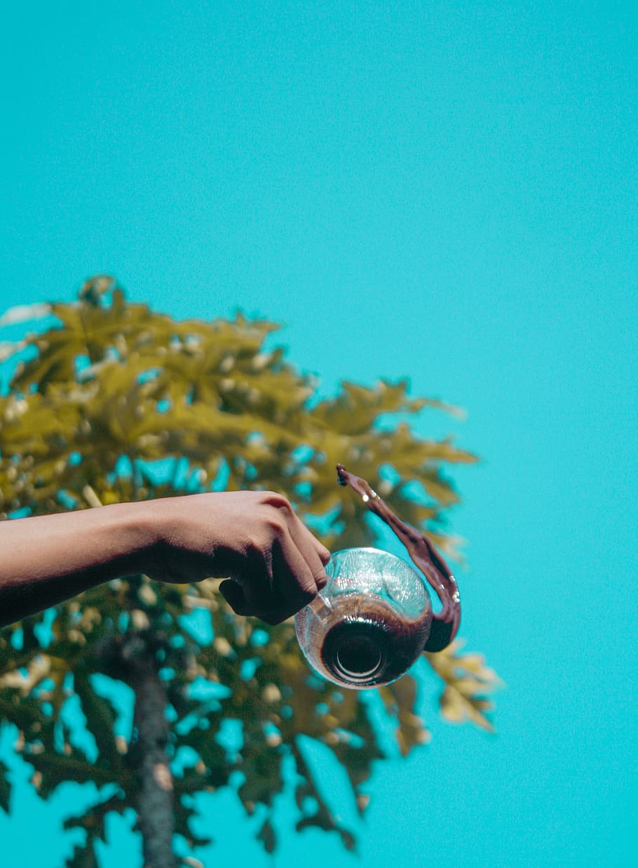 Person Holding Clear Glass Mug, caffeine, coffee, cup, drink HD wallpaper