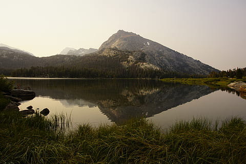 trees, lake, forest, water, mountains, reflection, wyoming HD wallpaper