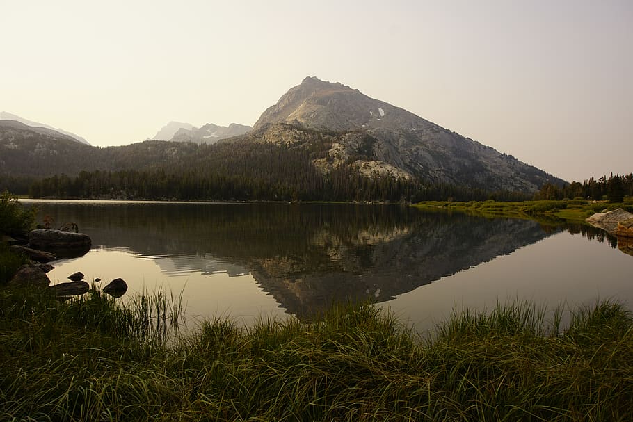 trees, lake, forest, water, mountains, reflection, wyoming HD wallpaper