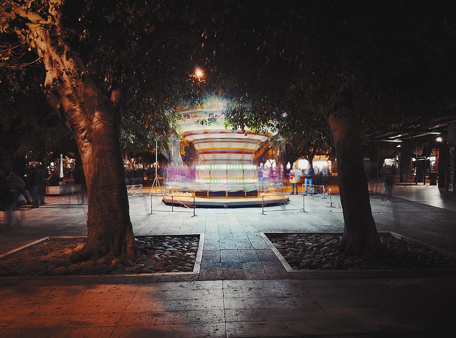 human, person, city, path, carousel, plant, tree, flagstone HD wallpaper