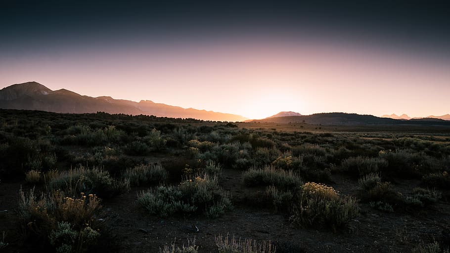 desert, sunset, landscape, scenics - nature, sky, environment HD wallpaper
