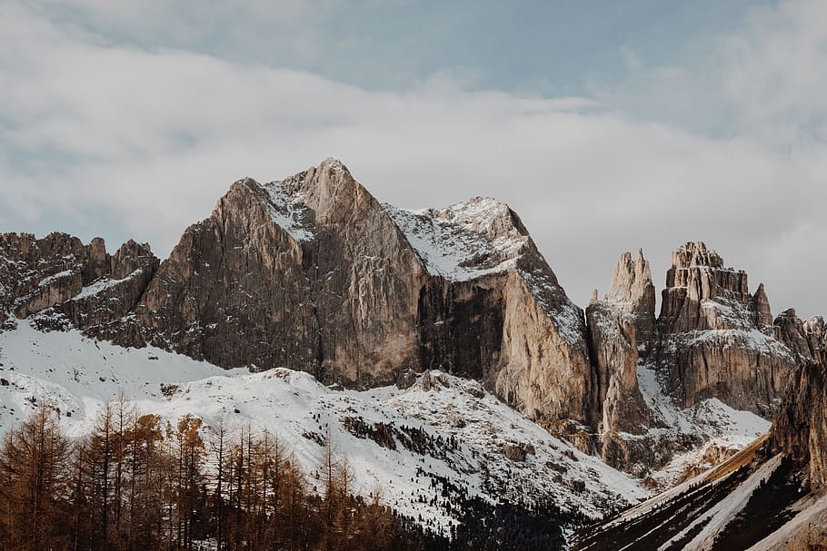 snow, winter, cliff, rocks, mountains, hill, trees, plants HD wallpaper