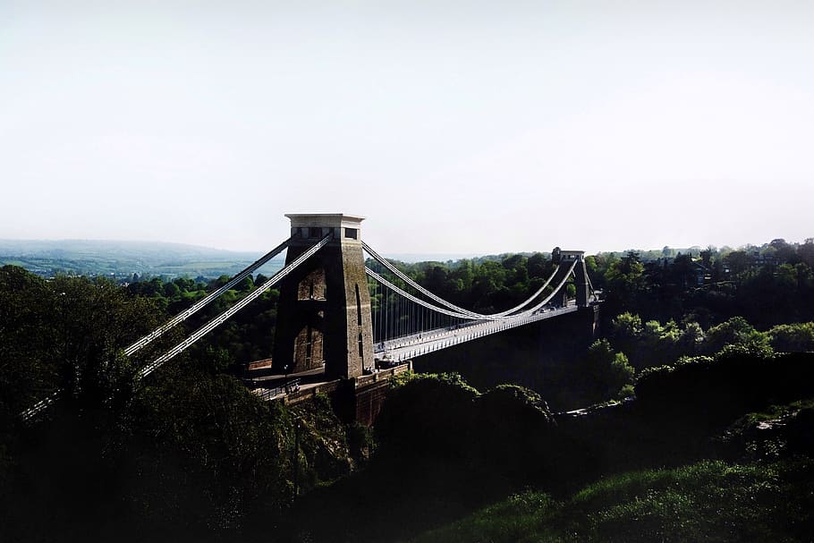 bridge surrounded by trees, forest, suspension bridge, building HD wallpaper