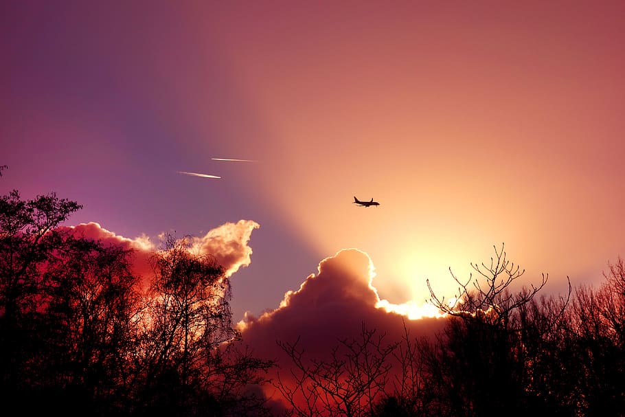 sky, sunset, sunrays, plane, silhouette, trees, tree silhouettes HD wallpaper