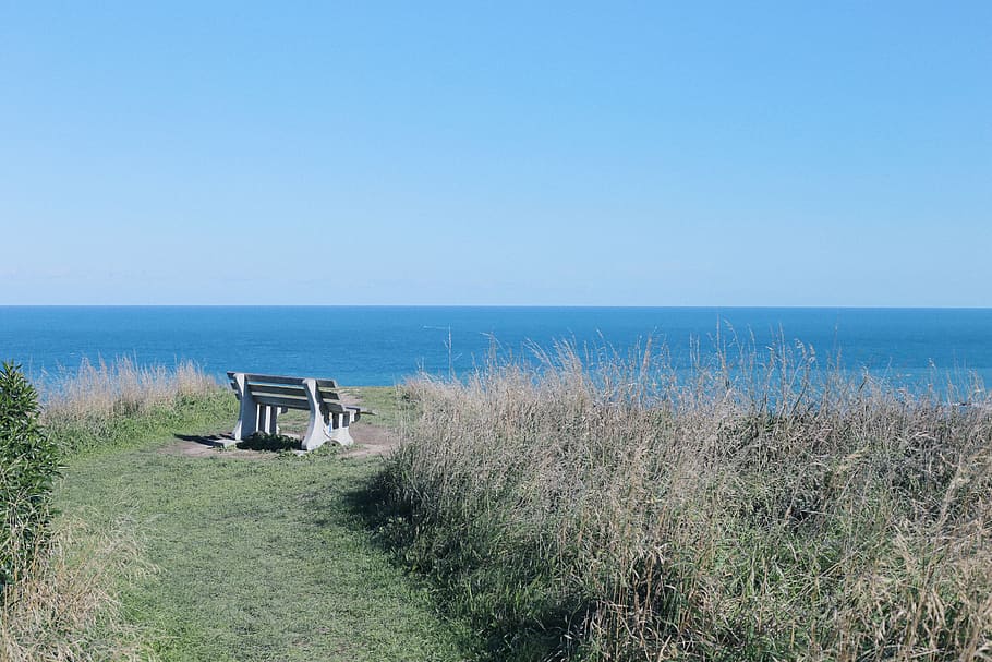 Grassy Shoreline Background