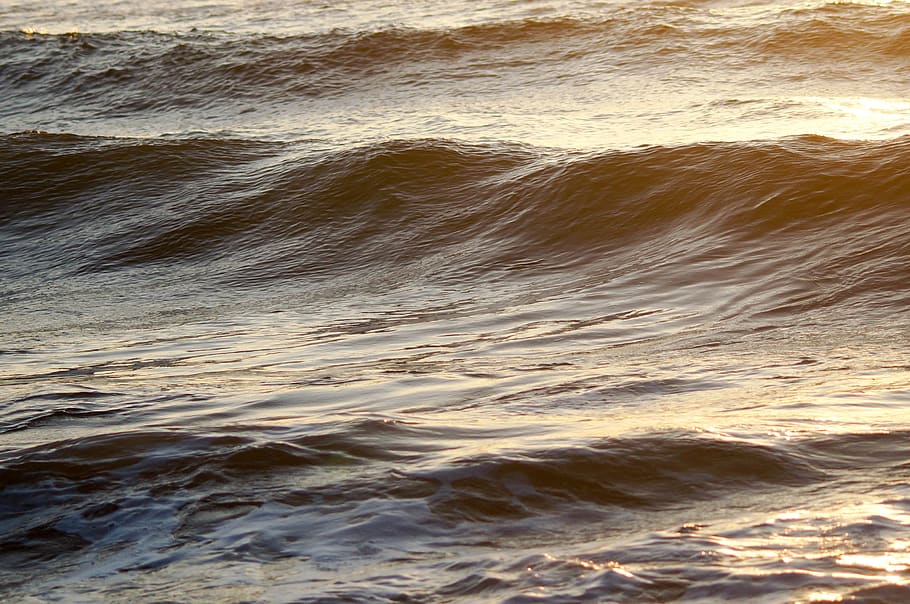 ocean, wave, water, sea, surfing, beauty in nature, motion, aquatic sport HD wallpaper