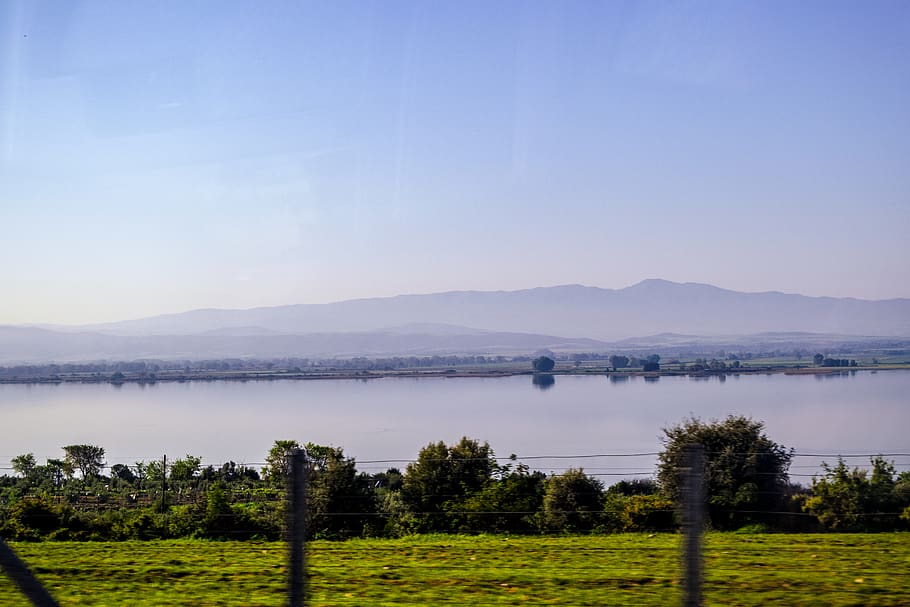 Plants Beside Water, blue sky, dawn, daylight, field, grass, Green bushes HD wallpaper