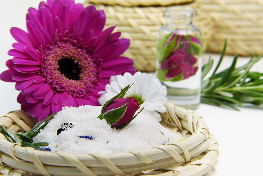 flower, nature, plant, deco, fresh, therapy, aromatherapy, give HD wallpaper
