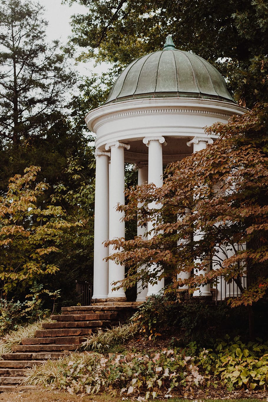 white dome gazebo surrounded with trees, nature, forest, park HD wallpaper