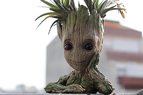 groot, plant, tree, fantasy, joy, representation, focus on foreground HD wallpaper
