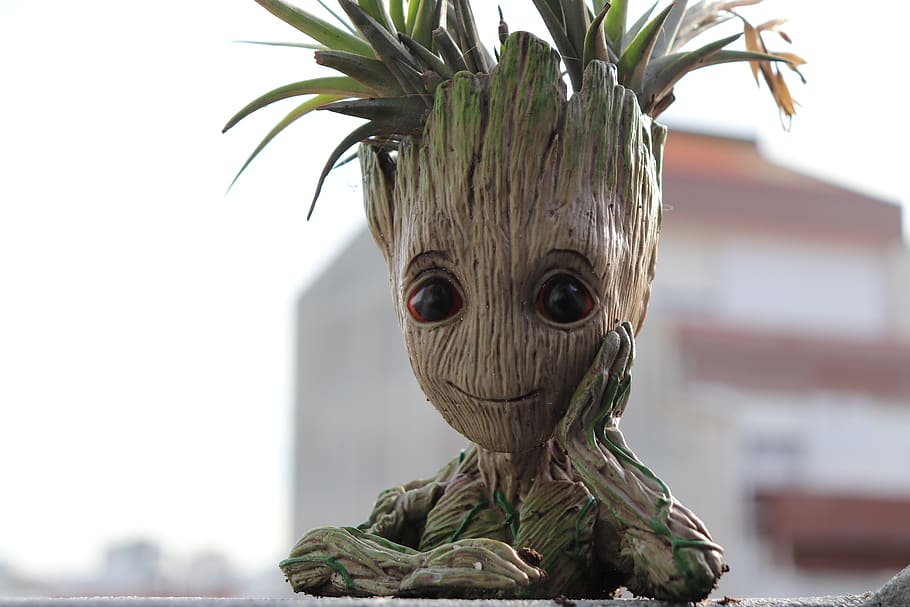 groot, plant, tree, fantasy, joy, representation, focus on foreground HD wallpaper