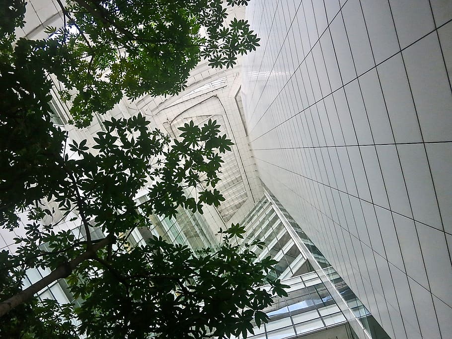 singapore, national library, built structure, low angle view, HD wallpaper