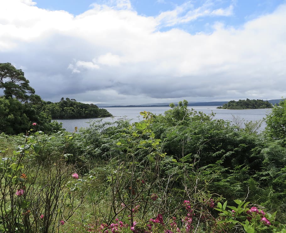 ireland, lough corrib, lake, galway, clouds, nature, plant, HD wallpaper