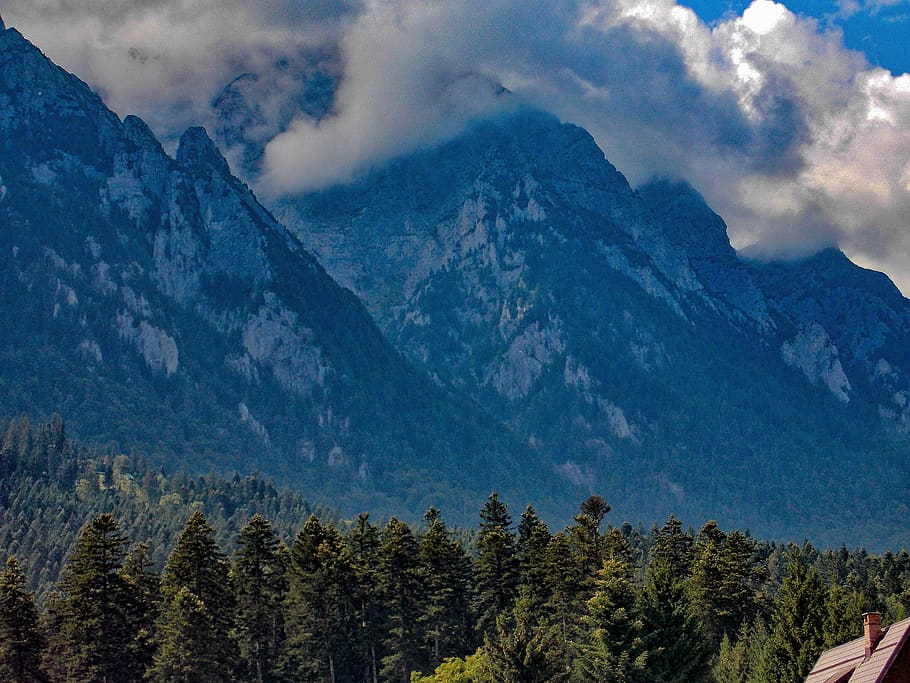 mountain, tree, plant, beauty in nature, scenics - nature, cloud - sky HD wallpaper