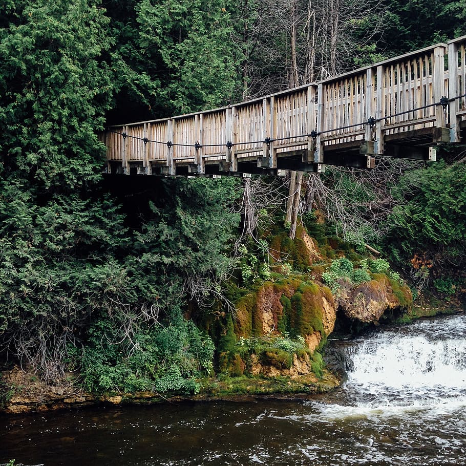 waterfall, forest, trees, bridge, connection, built structure HD wallpaper