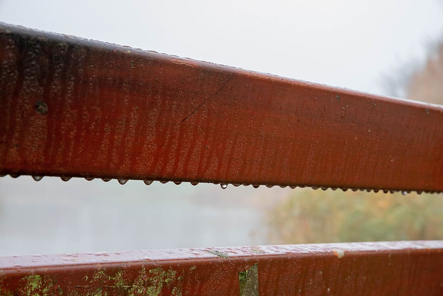 bank, bench, handrail, drops, raindrops, wood, nature, sit HD wallpaper