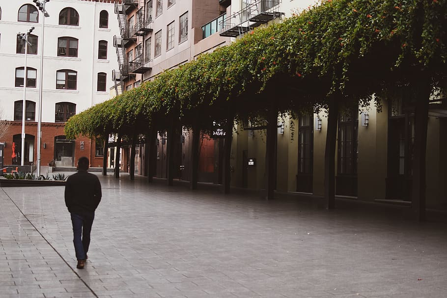 man standing near trees, footwear, shoe, apparel, clothing, person HD wallpaper