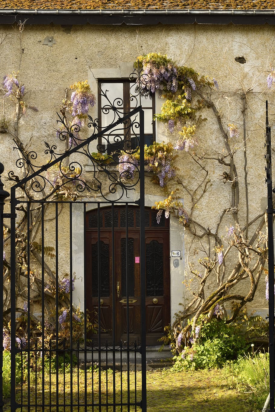 gate, plant, brick, walkway, path, railing, outdoors, garden HD wallpaper