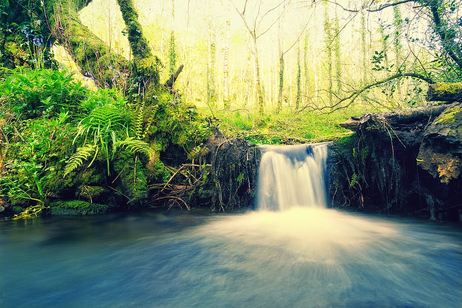 waterfall, river, nature, forest, macro, landscape, close up HD wallpaper