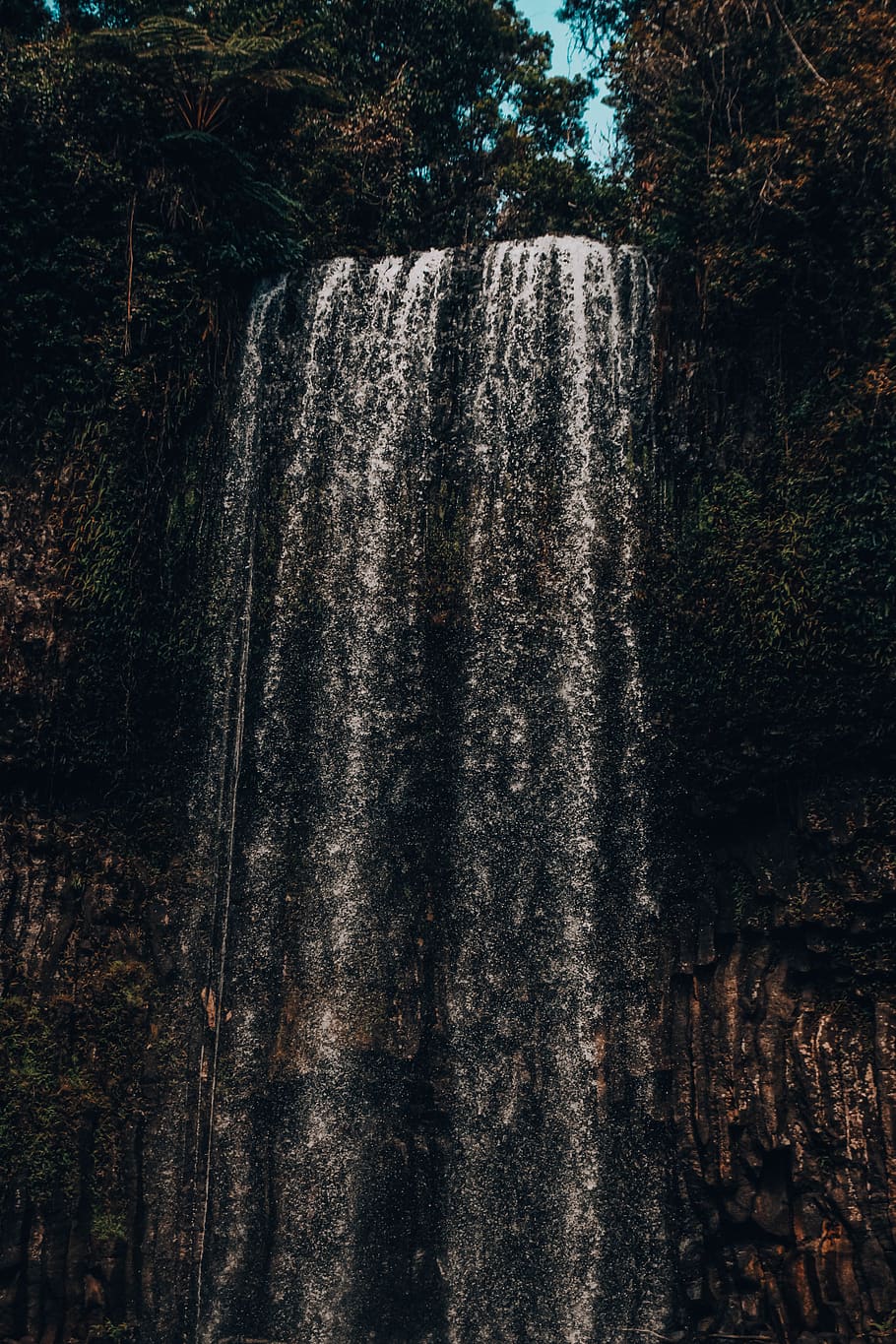 waterfalls during daytime, nature, river, outdoors, millaa millaa falls HD wallpaper