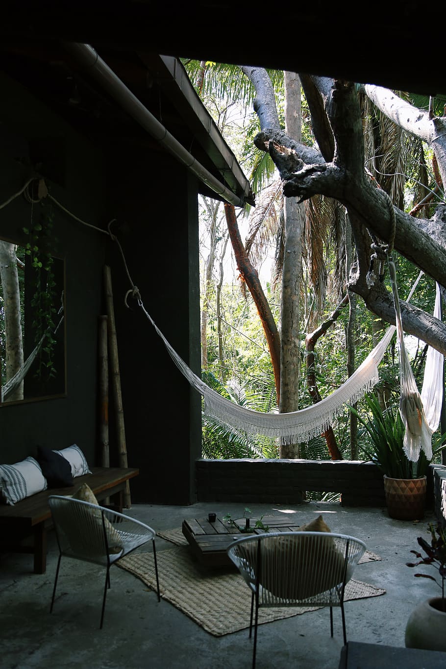 mexico, nayarit, trees, jungle, vida, chula, forest, plant HD wallpaper