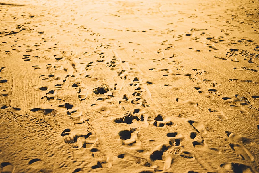 sand, beach, footsteps, footprints, shore, sea, ocean, summer HD wallpaper