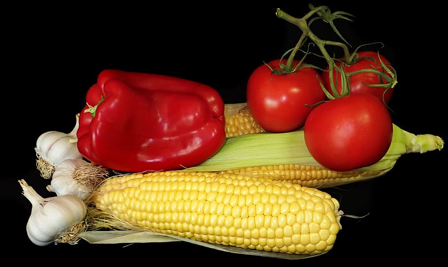 vegetables, corn, capsicum, tomatoes, garlic, food, cooking HD wallpaper