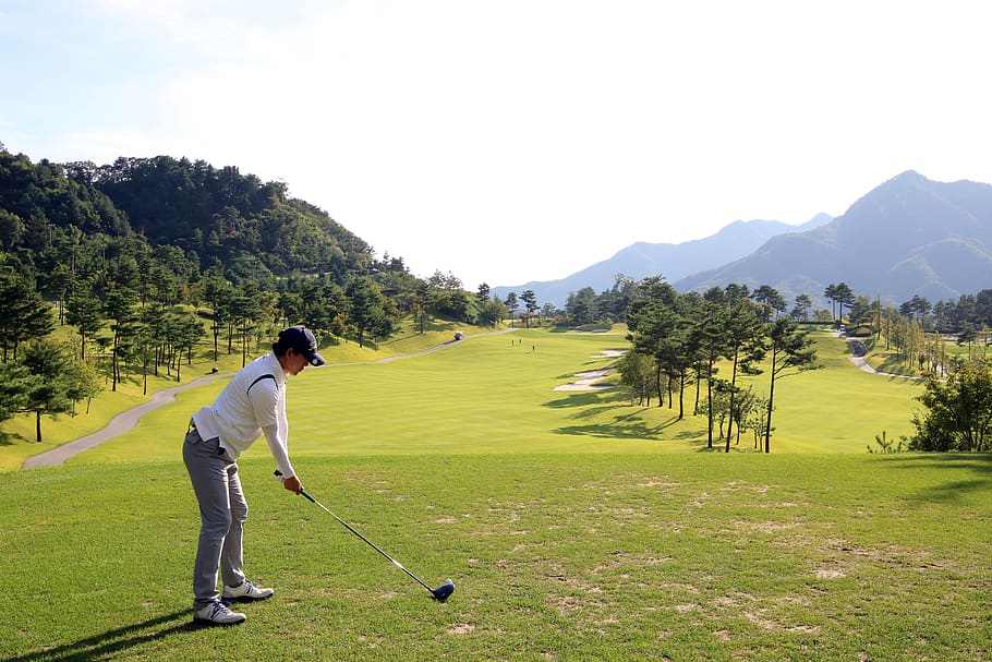 golf, green, field, grass, sport, golfers, golf course, landscape HD wallpaper