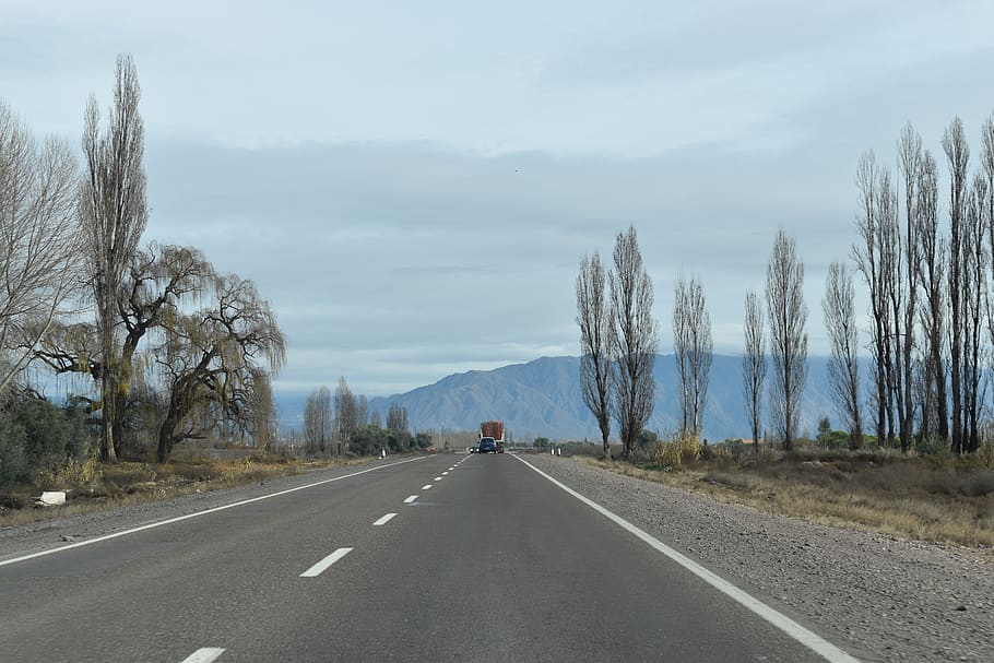 tree, mountain, road, transportation, direction, the way forward HD wallpaper