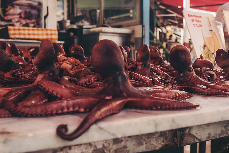 octopus on the table, human, person, people, italy, palermo, ballaro market HD wallpaper