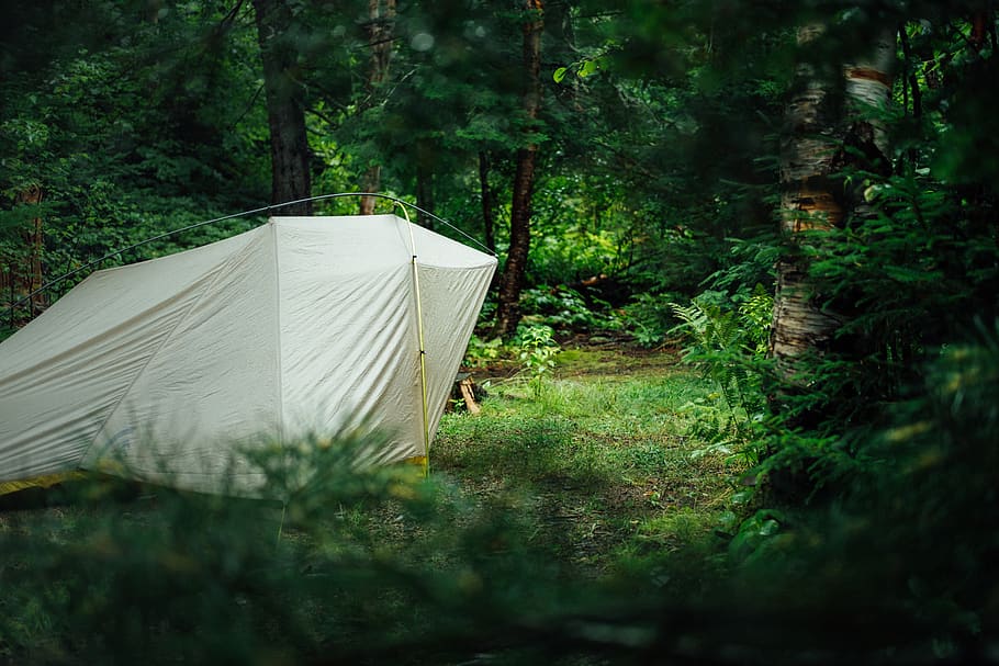white camping tent, plant, tree, land, growth, forest, nature HD wallpaper