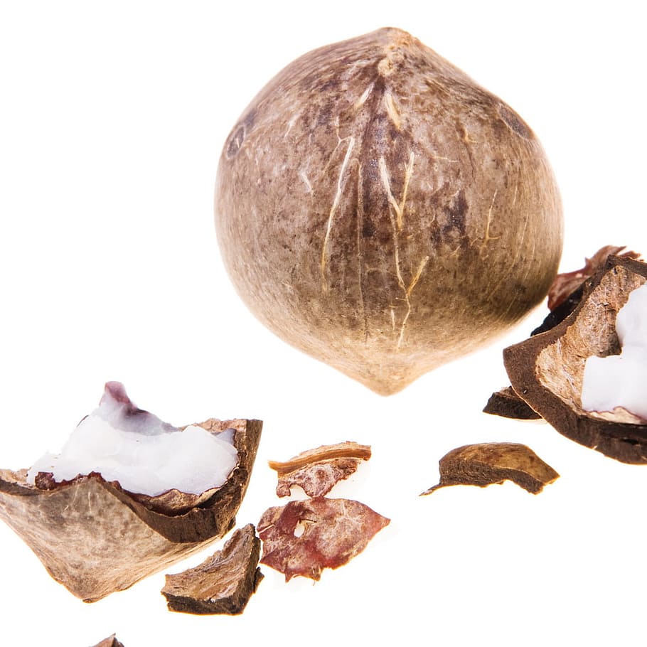 coconut, coconuts, cocos, cocoz, white, fruit, background, wood HD wallpaper