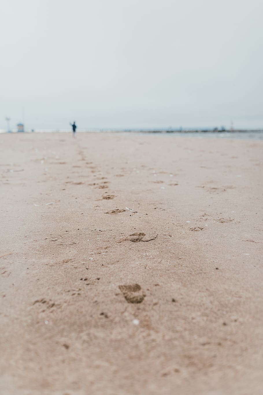 seashore sand, outdoors, nature, human, person, footprint, beach HD wallpaper