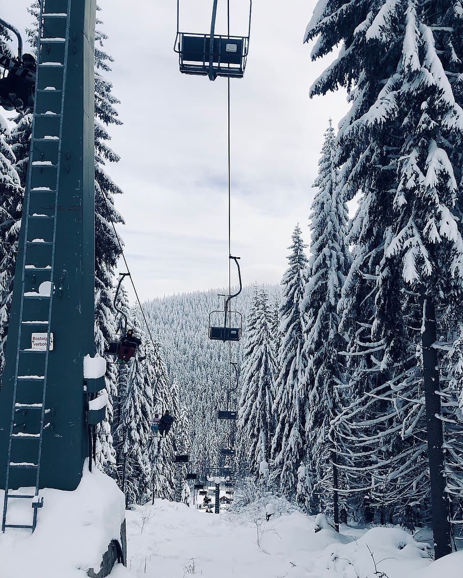 cable cart between trees, snow, winter, cold temperature, plant HD wallpaper