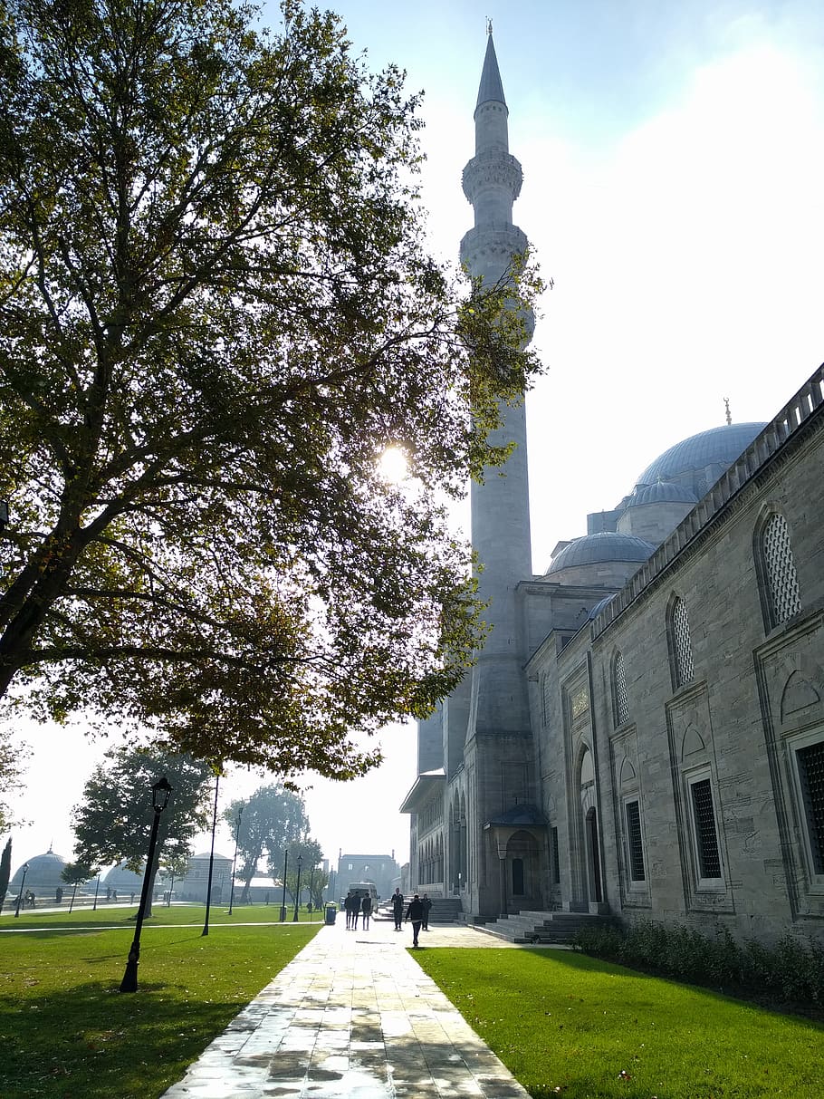 sun, tree, mosque, istanbul, turkey, architecture, building exterior HD wallpaper