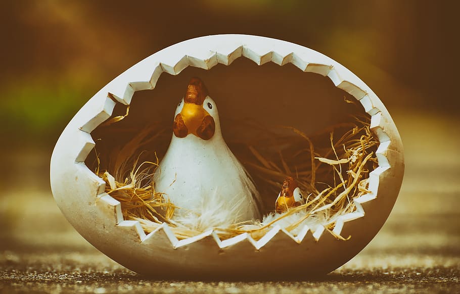easter, chickens, happy easter, easter decorations, easter egg HD wallpaper