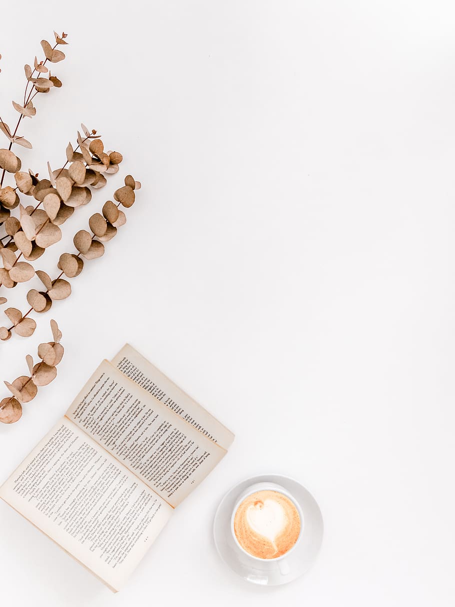 white ceramic mug beside white book, plant, south africa, jeffreys bay HD wallpaper