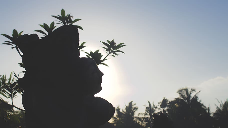 plant, sky, tree, tropical climate, palm tree, nature, sculpture HD wallpaper