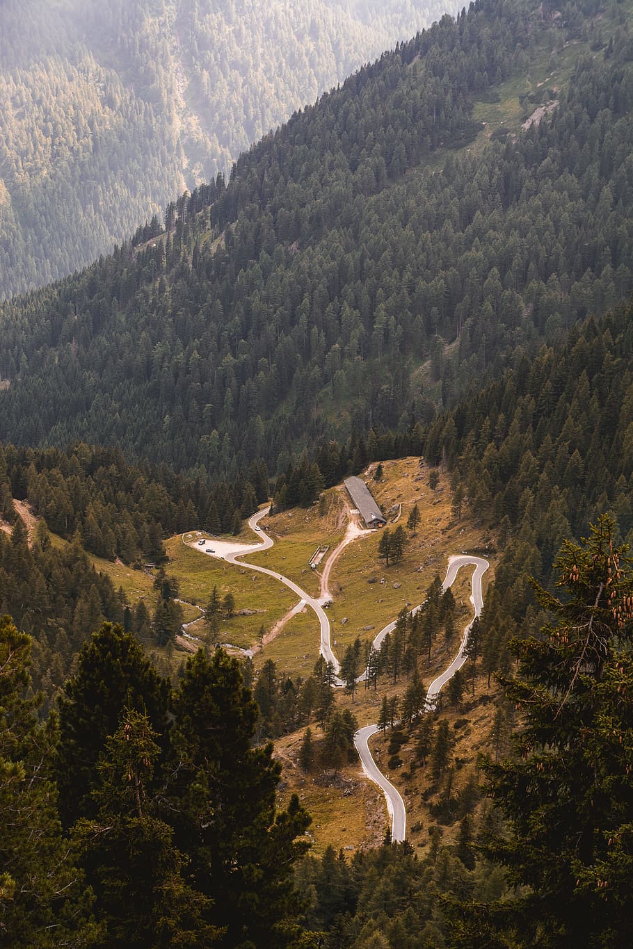 A zigzagging road surrounded by evergreen woods on a hillside in Manghen Pass HD wallpaper
