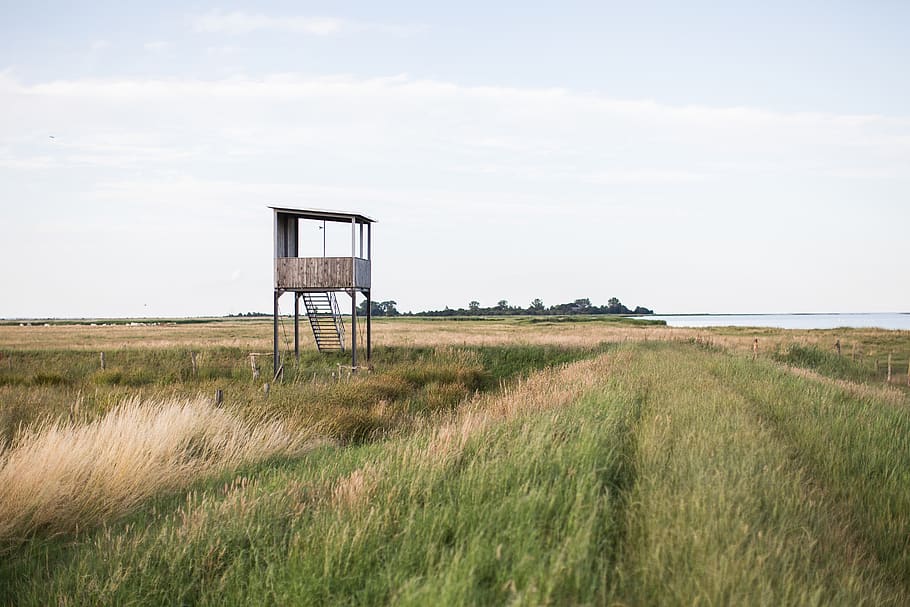 coast, tower, observation, observation tower, water, dike, grass HD wallpaper
